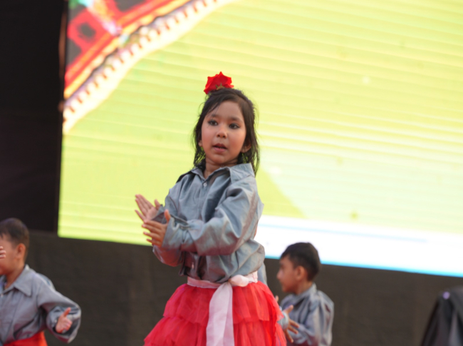 Annual Programme 2025-26